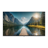 PEL QLED 50 Smart Google Bezel-less LED TV