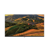 PEL Full HD 40 Smart Google Bezel-less LED TV