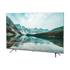 Panasonic 65 LED 4K Google Certified (MX 740 Series)