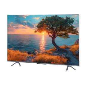 Panasonic 75 LED 4K Google Certified (MX 740 Series)