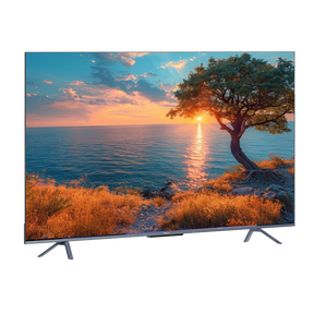 Panasonic 75 LED 4K Google Certified (MX 740 Series)
